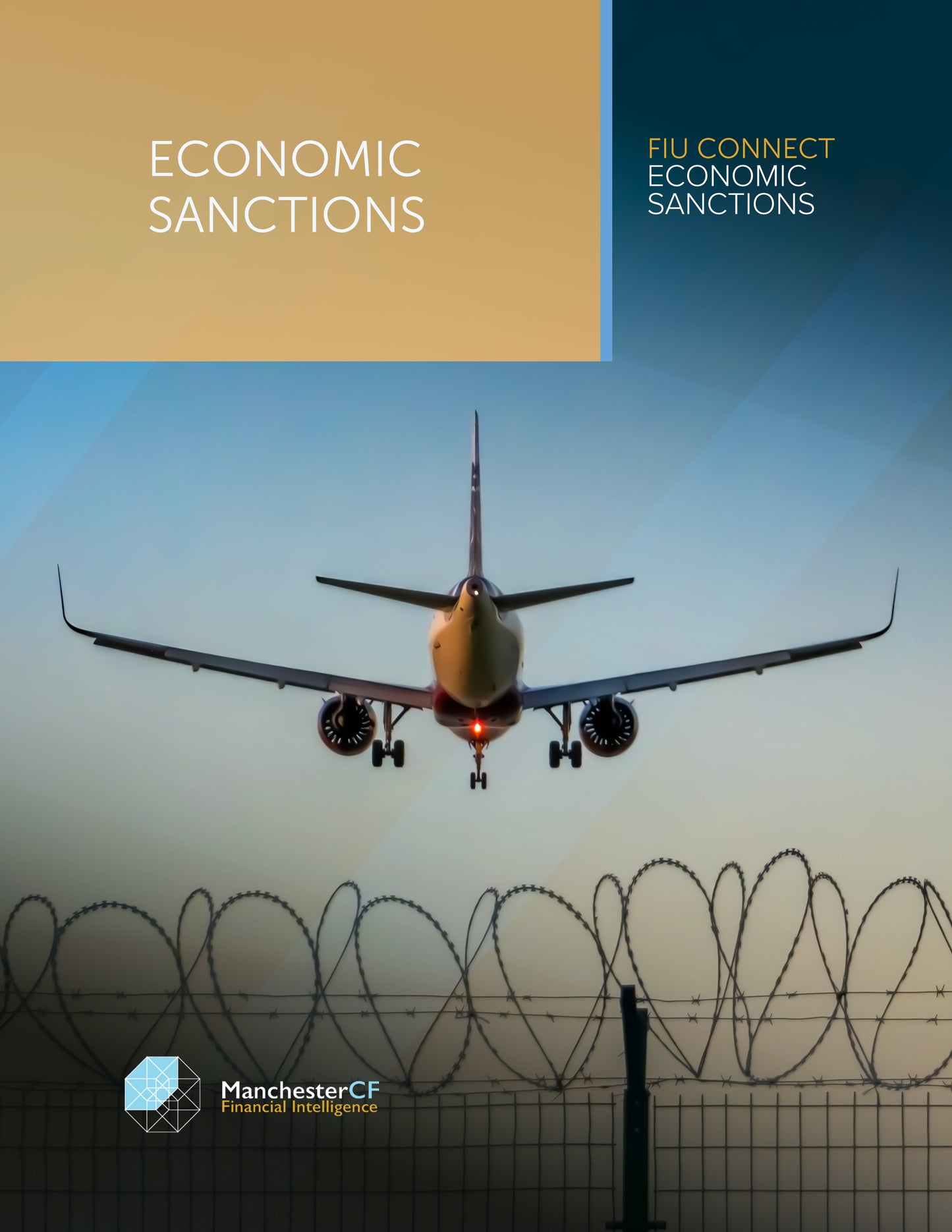 ADVANCED FINANCIAL CRIME: Economic Sanctions