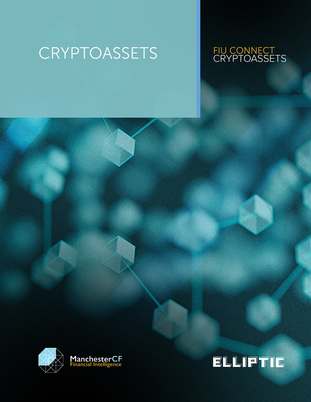 FIU Connect (Cryptoassets)
