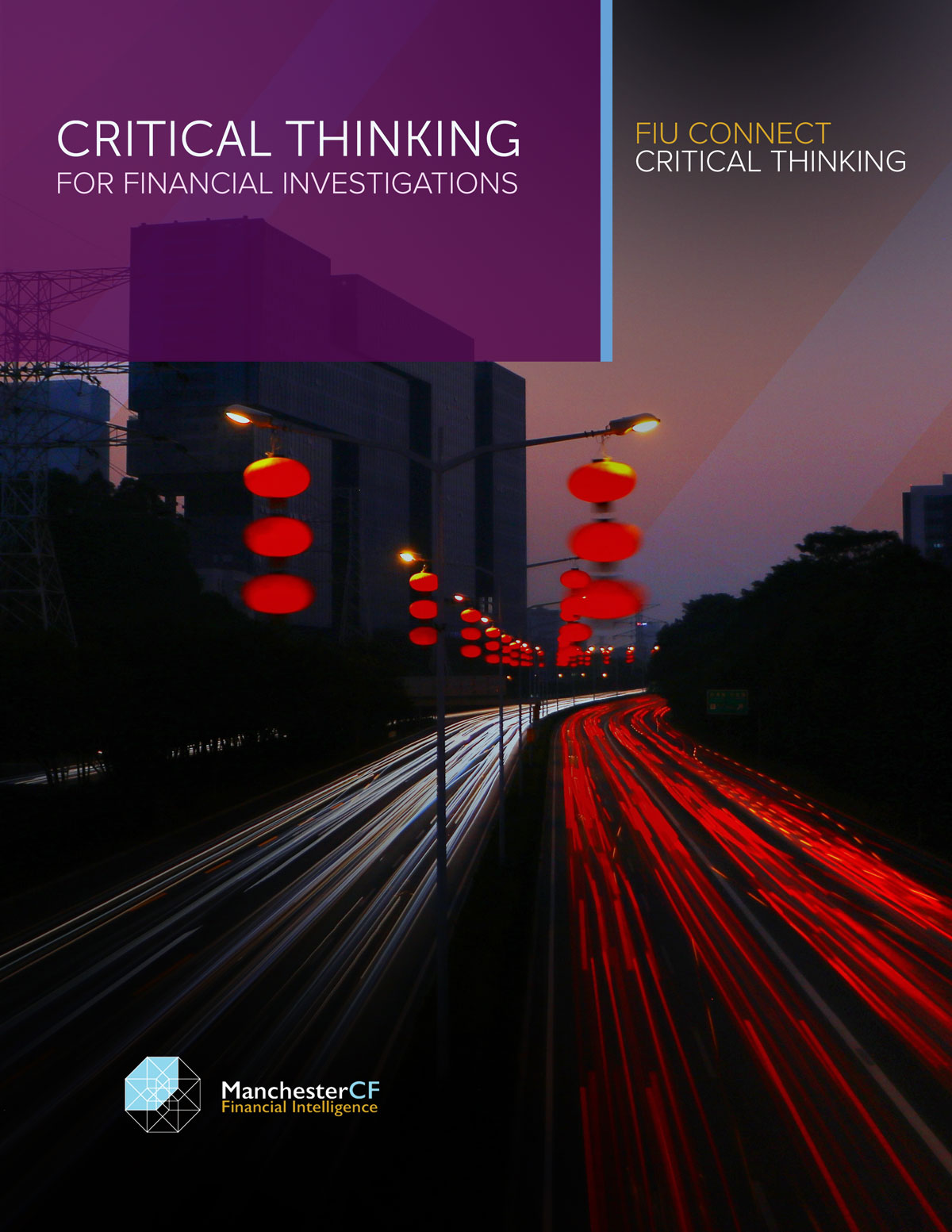 ADVANCED FINANCIAL CRIME: Critical Thinking