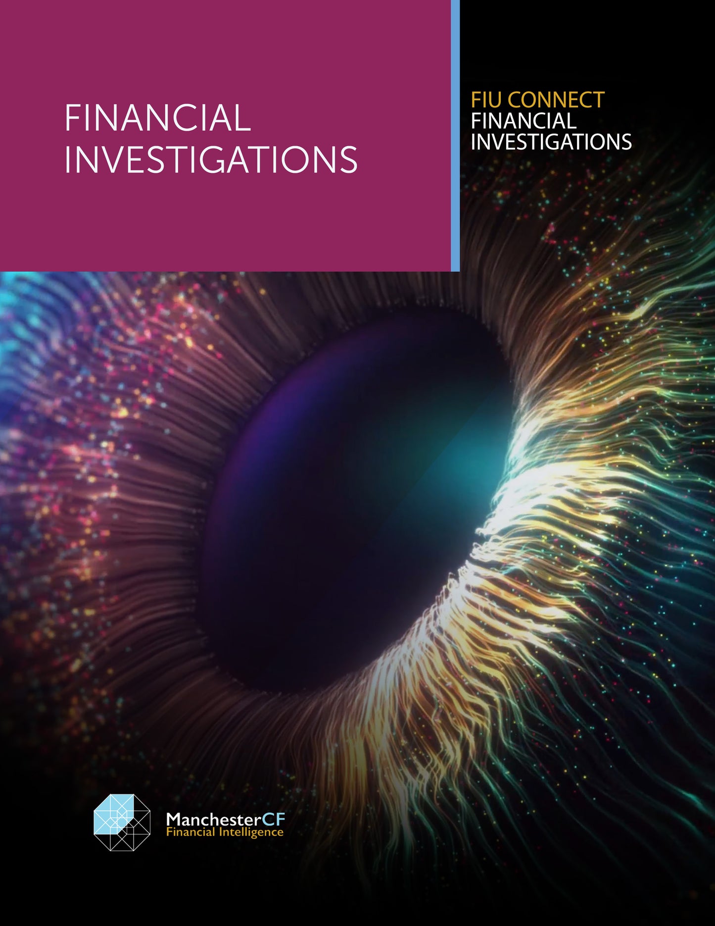 ADVANCED FINANCIAL CRIME: Financial Investigations