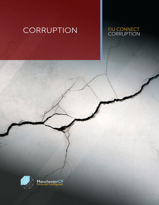 ADVANCED FINANCIAL CRIME: Corruption