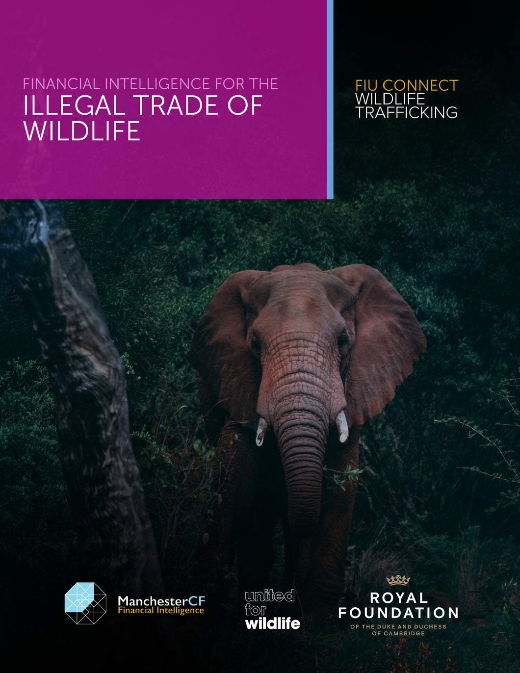 FIU Connect (Wildlife Trafficking)