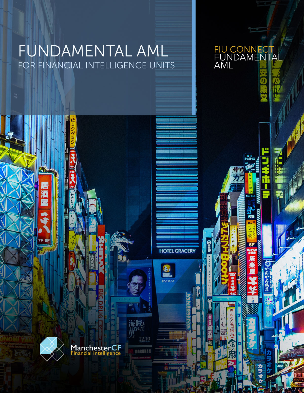 ADVANCED FINANCIAL CRIME: Fundamental AML