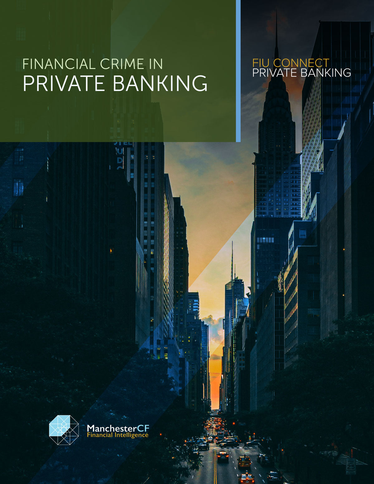 ADVANCED FINANCIAL CRIME: Private Banking